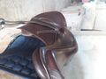 Selle prestige