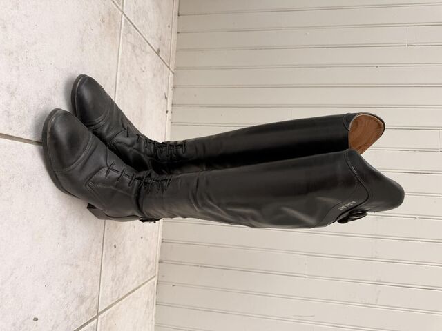 Bottes Ariat Palissade + Accessoires