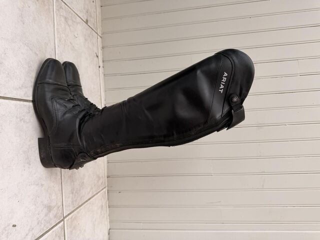 Bottes Ariat Palissade + Accessoires