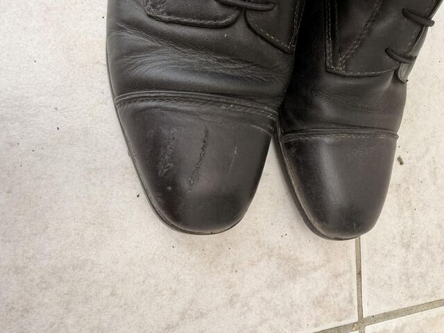 Bottes Ariat Palissade + Accessoires