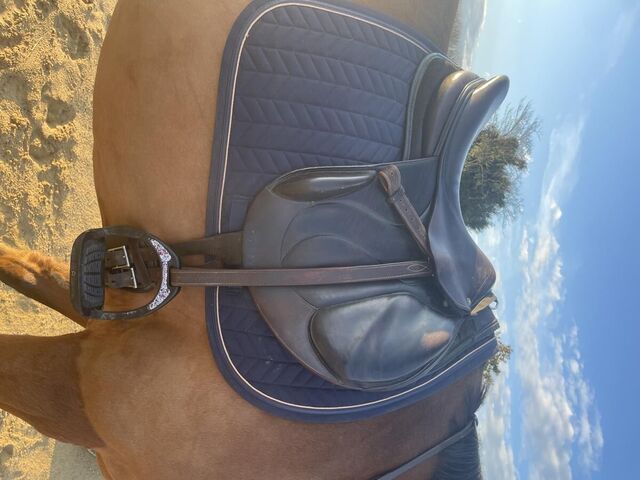 Selle Chiberta Devoucoux