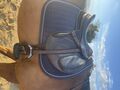 Selle Chiberta Devoucoux