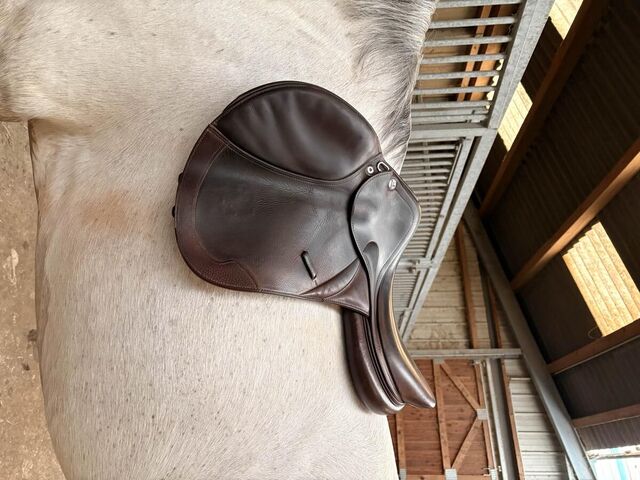 Selle Prestige