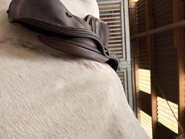 Selle Prestige