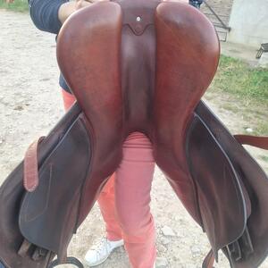 Selle cwd