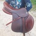 Selle cwd