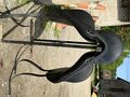 Selle de dressage Forestier 17.5