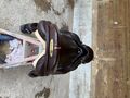 Selle Equipe Synergy