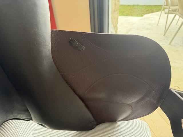 Selle chiberta O