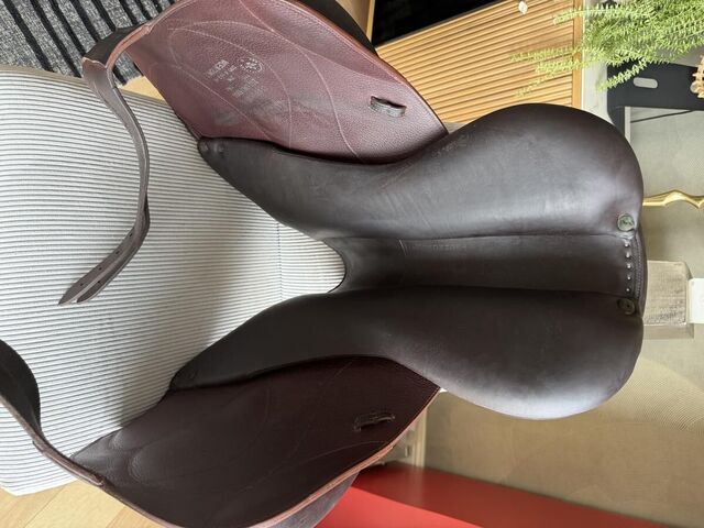 Selle chiberta O