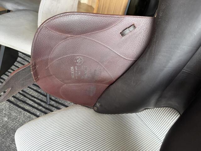 Selle chiberta O