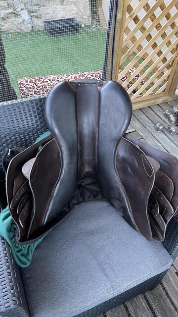 Selle Prem's Forestier 17'
