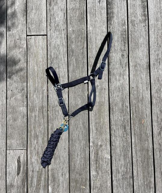 Licol taille cheval