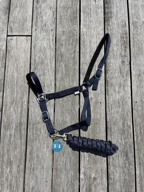 Licol taille cheval