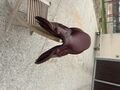 Selle obstacle devoucoux
