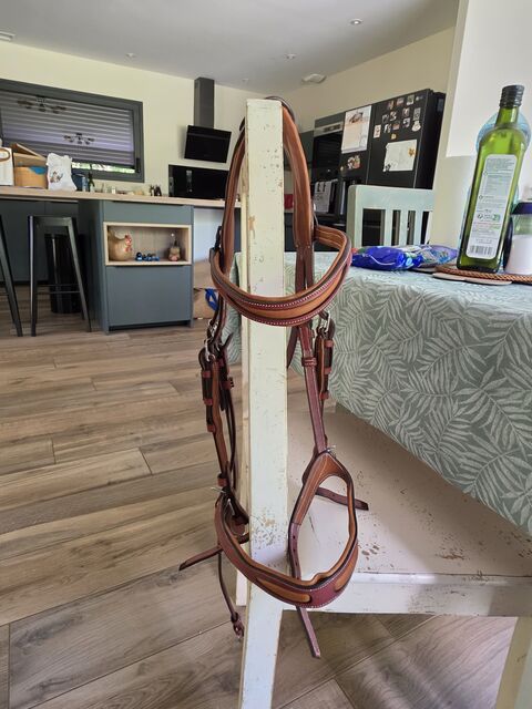 Bridon flexmotion