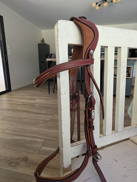 Bridon flexmotion