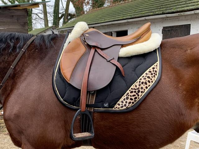 Tapis de selle