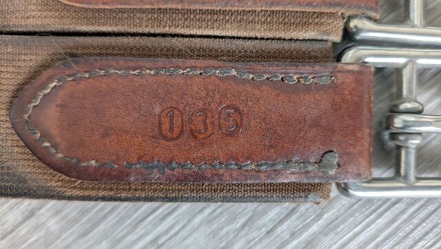 Sangle cuir anatomique Time Rider marron 135cm