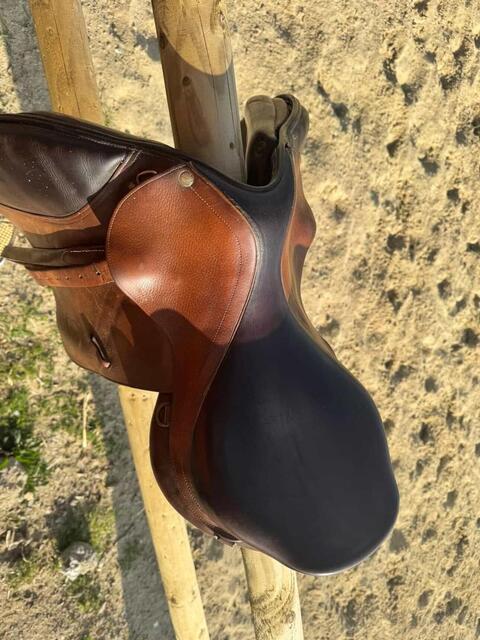 Selle forestier