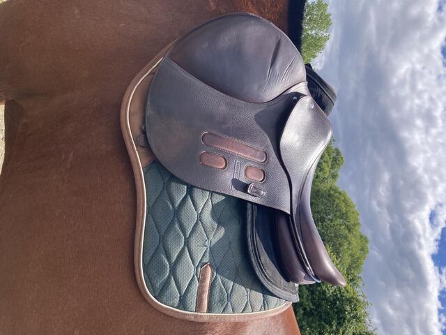 Selle GBS Jumping 17p