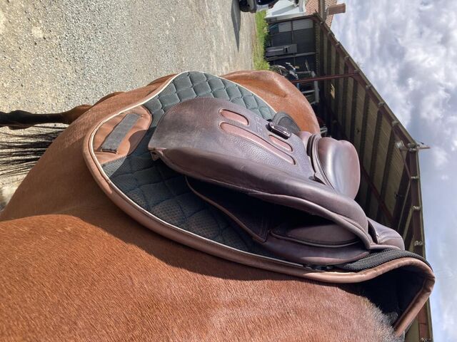 Selle GBS Jumping 17p