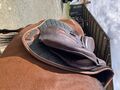 Selle GBS Jumping 17p