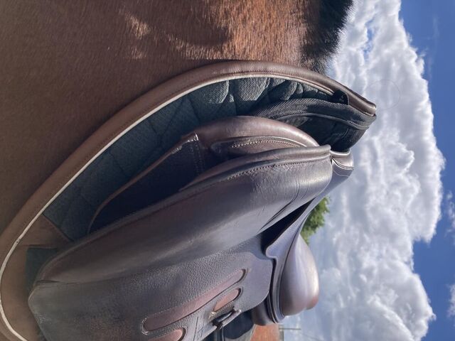 Selle GBS Jumping 17p
