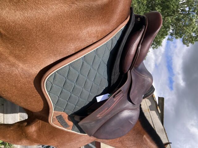 Selle GBS Jumping 17p