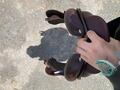 Selle GBS Jumping 17p