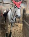 Guêtres mouton noires pailletées Harcour XL– Très bon état