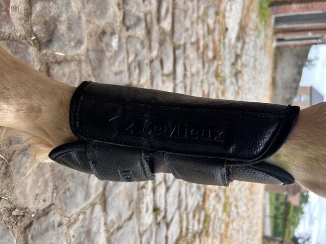 Guêtres schooling boots Lemieux M
