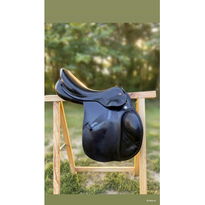 Prestige Elastic Professional 17" - Arcade 33 - Très bon état