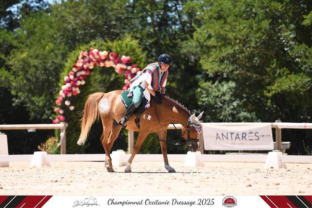 gogue taille cob