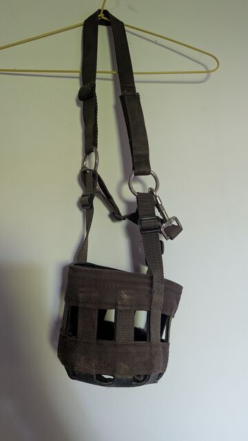 Panier anti-fourbure – Taille poney – Excellent état