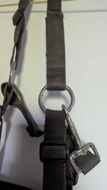 Panier anti-fourbure – Taille poney – Excellent état