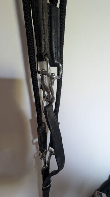 Gogue pour cheval cuir et nylon