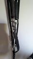 Gogue pour cheval cuir et nylon