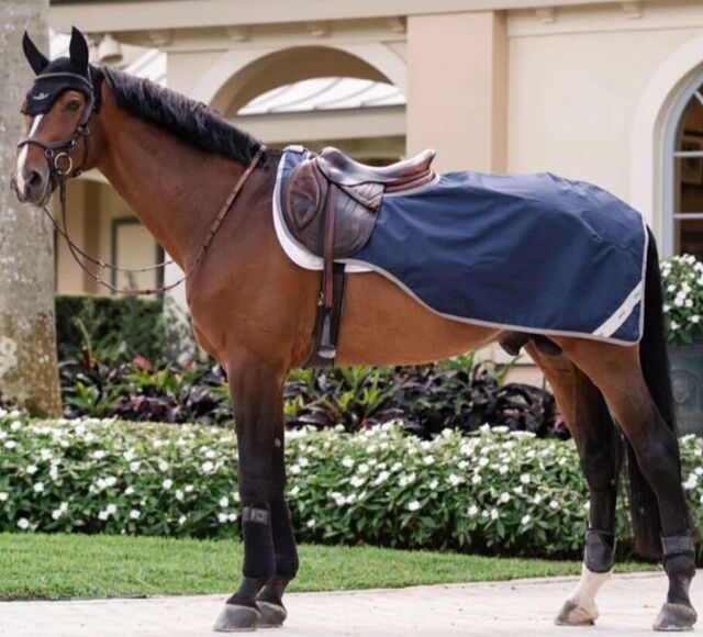 Couvre-reins 2-en-1 Horseware Amigo 150 cm (5'9)
