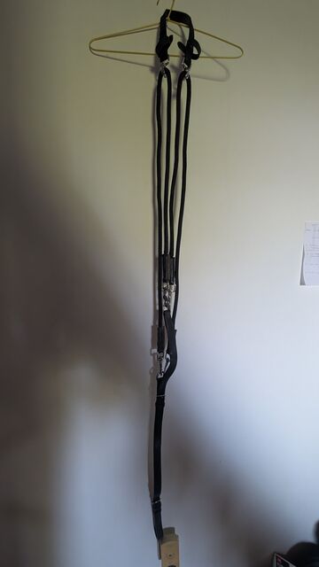 Gogue pour cheval cuir et nylon