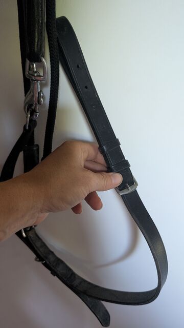Gogue pour cheval cuir et nylon