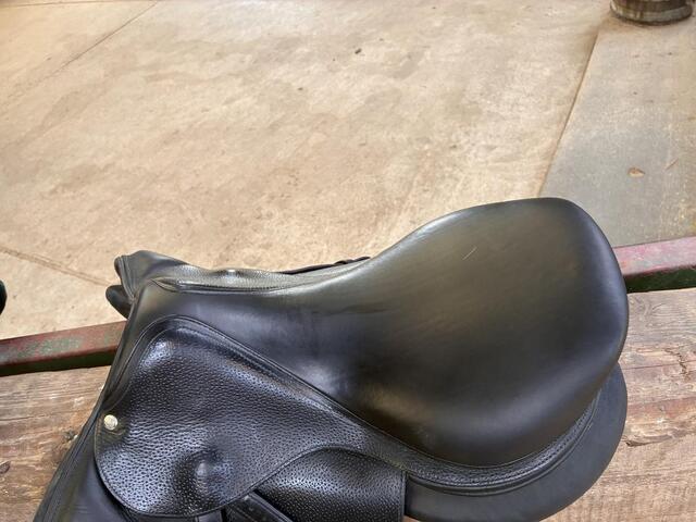 Selle Forestier Seoul 17"5 2A, veau grainé noire année 2025