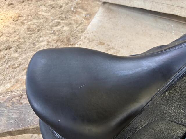 Selle Forestier Seoul 17"5 2A, veau grainé noire année 2025