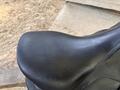 Selle Forestier Seoul 17"5 2A, veau grainé noire année 2025