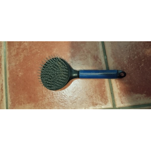 Brosse à crins bleu