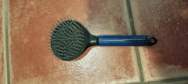 Brosse à crins bleu