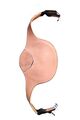 Sangle bavette Butet sellier Saumur