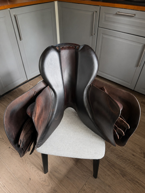 Selle forestier Séoul