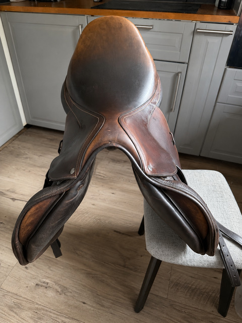 Selle forestier Séoul