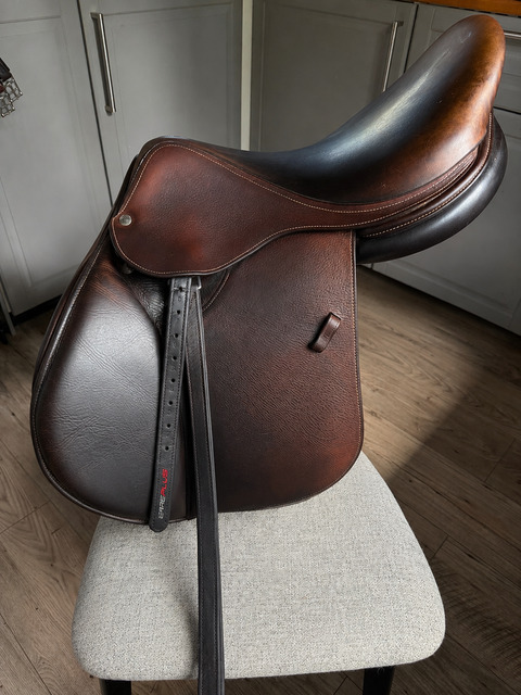 Selle forestier Séoul